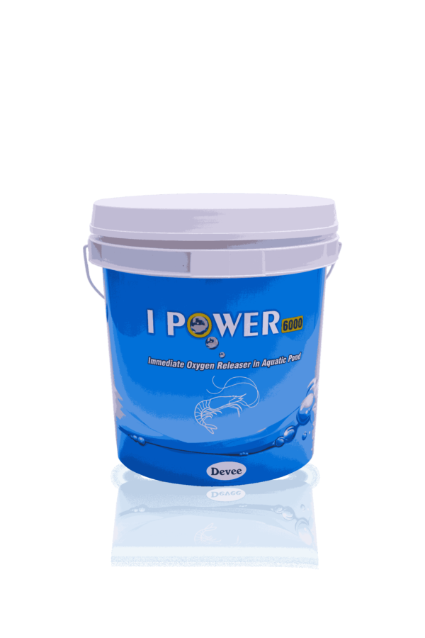 I Power 6000-10L