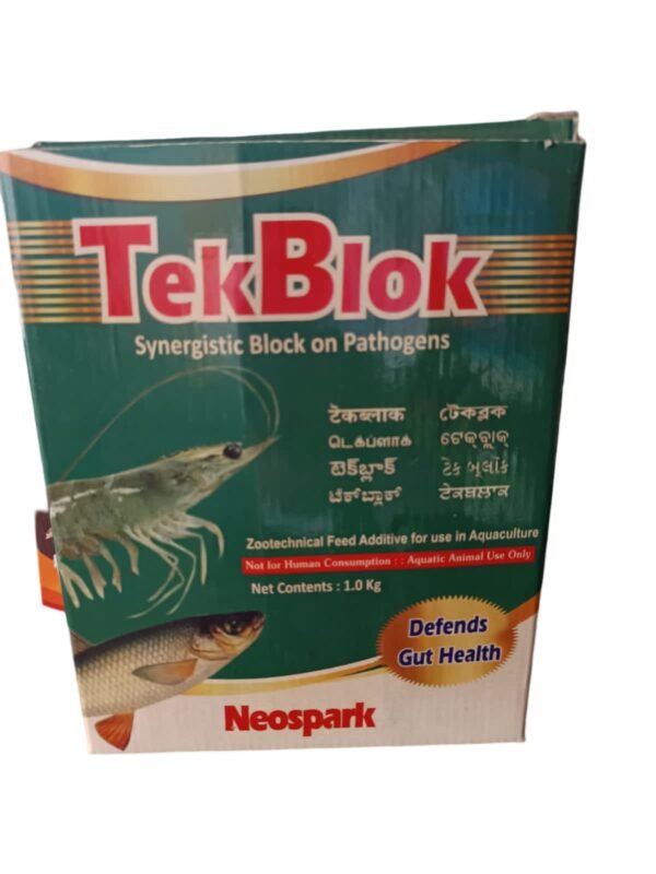 TekBlok