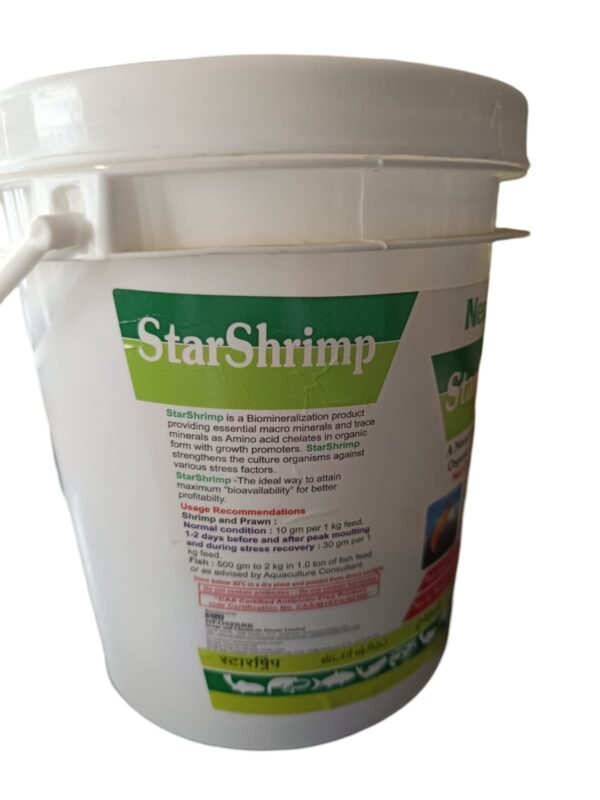 Star Shrimp-1kg - Image 2