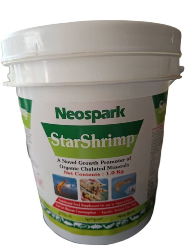 Star Shrimp-1kg
