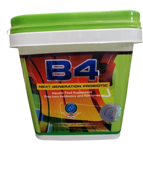 B4 (500g)
